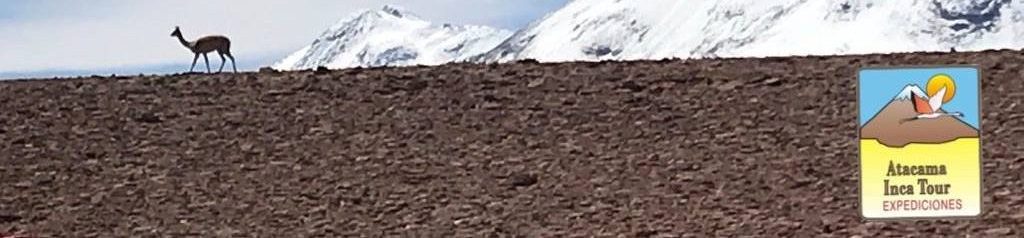 Atacama Inca Tour